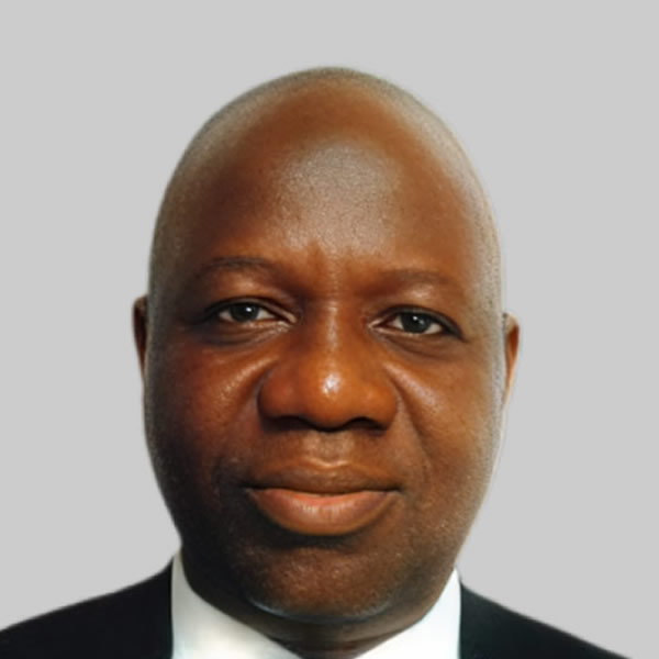 Gbadamosi Aderemi Abideen - CFO